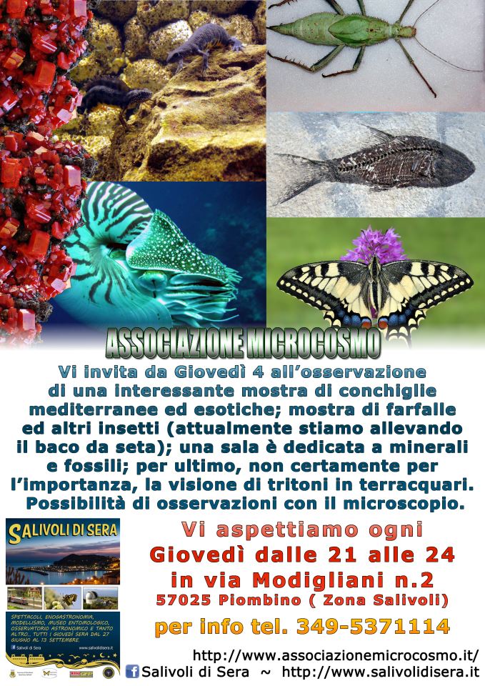 I Terracquari del Centro di Entomologia - Piombino (LI)